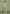 jacquard-boyfriend-jeans-green-floral